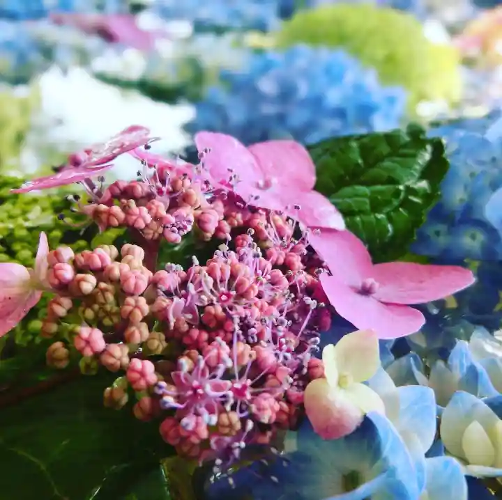 立志神社の手水舎