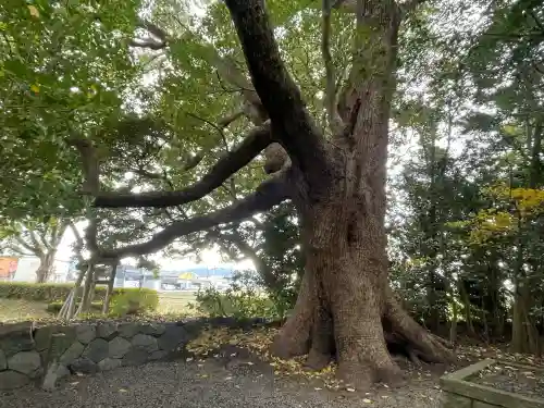 御薗神社の{uncategorized: "未分類", other: "その他", undefined: "問題あり", building: "その他建物", grave: "お墓", sacred_gate: "鳥居", guardian: "狛犬", statue: "像", buddha: "仏像", history: "歴史", nature: "自然", garden: "庭園", animal: "動物", pagoda: "塔", temizu: "手水舎", mountain_gate: "山門・神門", sanctuary: "本殿・本堂", subordinate: "末社・摂社", art: "芸術", scenery: "景色", jizo: "地蔵", ema: "絵馬", goshuin: "御朱印", omikuji: "おみくじ", items: "授与品その他", amulet: "お守り", goshuincho: "御朱印帳", eats: "食事", festival: "お祭り", votive_dance: "神楽", shichigosan: "七五三参", wedding: "結婚式", experience: "体験その他", initially: "初詣", around: "周辺", anti_infection: "感染症対策"}