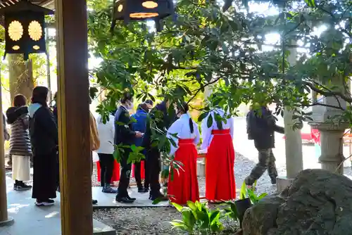 川越氷川神社(埼玉県)
