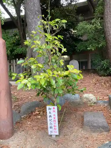 第六天神社の庭園