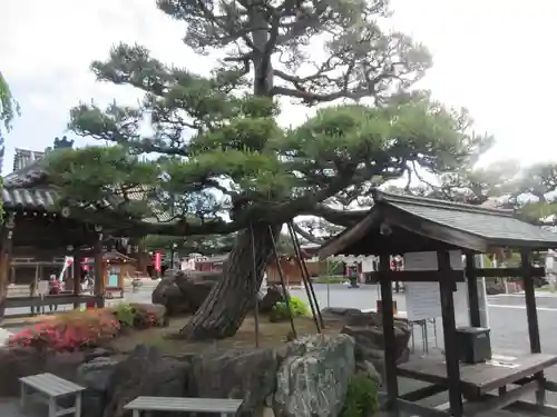 総持寺(大阪府)