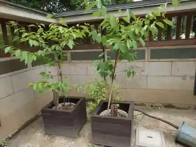 戸越八幡神社(東京都)