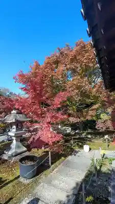 勝林寺(京都府)