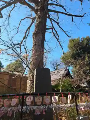 七社神社(東京都)
