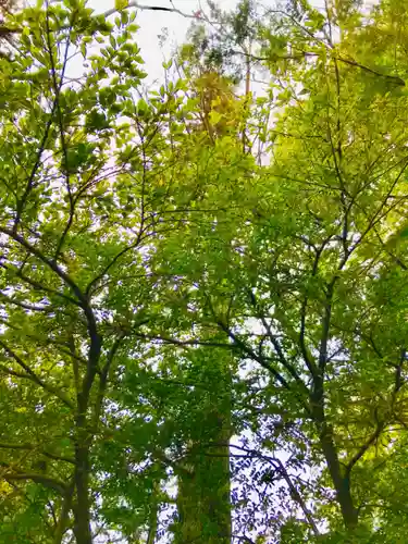 大鷲神社の自然