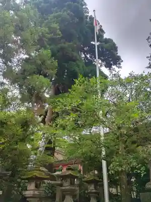 石上神宮(奈良県)