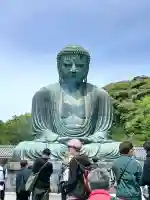 高徳院の{uncategorized: "未分類", other: "その他", undefined: "問題あり", building: "その他建物", grave: "お墓", sacred_gate: "鳥居", guardian: "狛犬", statue: "像", buddha: "仏像", history: "歴史", nature: "自然", garden: "庭園", animal: "動物", pagoda: "塔", temizu: "手水舎", mountain_gate: "山門・神門", sanctuary: "本殿・本堂", subordinate: "末社・摂社", art: "芸術", scenery: "景色", jizo: "地蔵", ema: "絵馬", goshuin: "御朱印", omikuji: "おみくじ", items: "授与品その他", amulet: "お守り", goshuincho: "御朱印帳", eats: "食事", festival: "お祭り", votive_dance: "神楽", shichigosan: "七五三参", wedding: "結婚式", experience: "体験その他", initially: "初詣", around: "周辺", anti_infection: "感染症対策"}