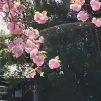 鹿島台神社の自然