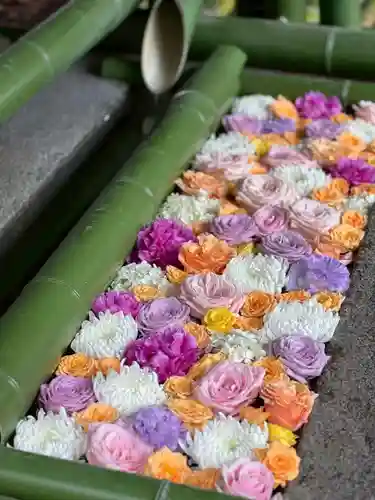 水無瀬神宮(大阪府)