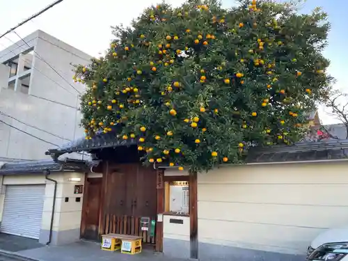 安養寺(京都府)