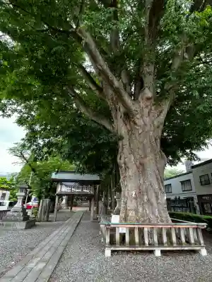 住吉神社(岩手県)