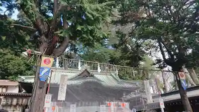調神社のその他建物