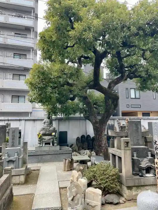 正洞院の{uncategorized: "未分類", other: "その他", undefined: "問題あり", building: "その他建物", grave: "お墓", sacred_gate: "鳥居", guardian: "狛犬", statue: "像", buddha: "仏像", history: "歴史", nature: "自然", garden: "庭園", animal: "動物", pagoda: "塔", temizu: "手水舎", mountain_gate: "山門・神門", sanctuary: "本殿・本堂", subordinate: "末社・摂社", art: "芸術", scenery: "景色", jizo: "地蔵", ema: "絵馬", goshuin: "御朱印", omikuji: "おみくじ", items: "授与品その他", amulet: "お守り", goshuincho: "御朱印帳", eats: "食事", festival: "お祭り", votive_dance: "神楽", shichigosan: "七五三参", wedding: "結婚式", experience: "体験その他", initially: "初詣", around: "周辺", anti_infection: "感染症対策"}