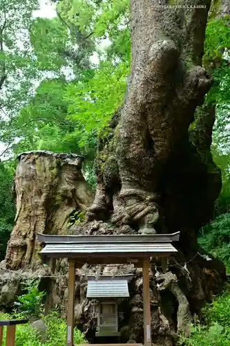 來宮神社(静岡県)