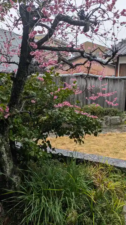華開院(京都府)