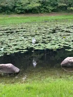 みそぎ御殿(宮崎県)