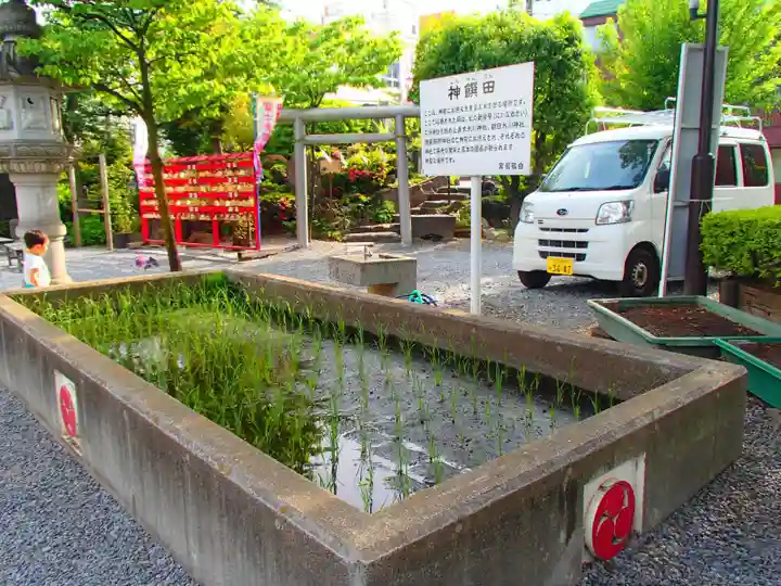 鎮守氷川神社のその他建物