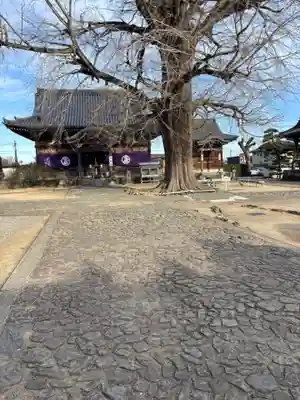 地蔵寺(徳島県)
