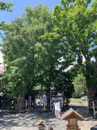 札幌諏訪神社のその他建物