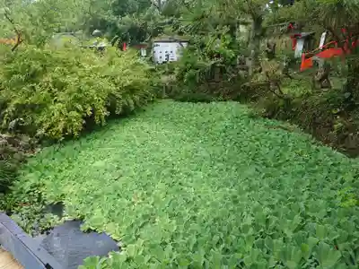伊那下神社(静岡県)