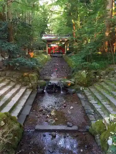 彌彦神社の庭園