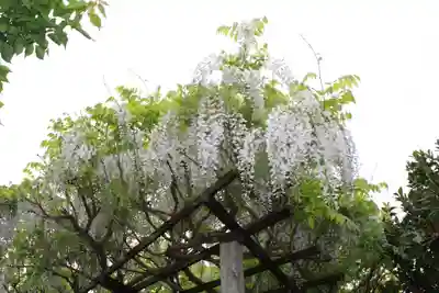 石光寺(奈良県)