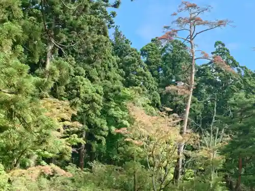毛越寺(岩手県)