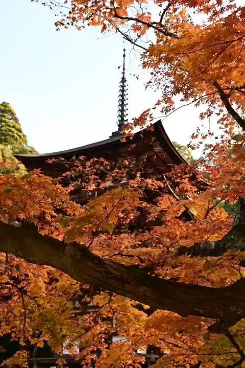 西明寺(滋賀県)