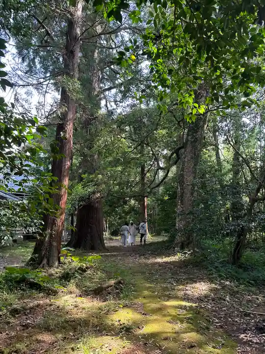倭文神社(鳥取県)