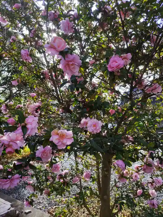 豊景神社(福島県)