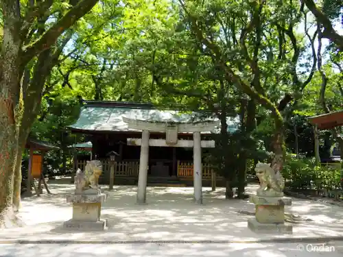 筥崎宮(福岡県)