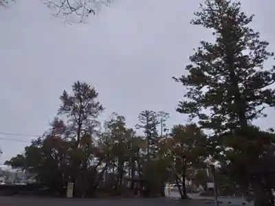 伊勢神宮外宮（豊受大神宮）(三重県)