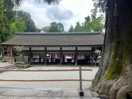 春日大社(奈良県)