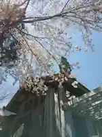 堂ノ森神社の本殿・本堂