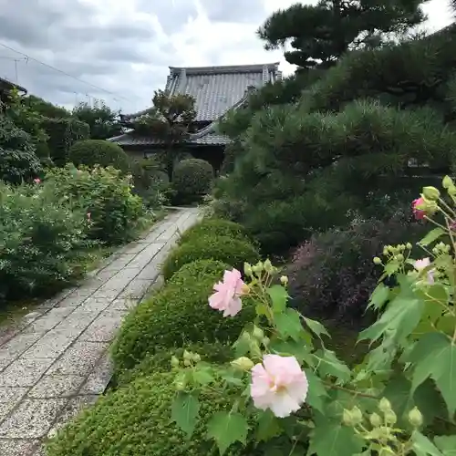 地蔵院（椿寺）のその他建物
