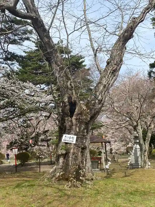 糠部神社の自然