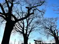 白鳥神社(長野県)