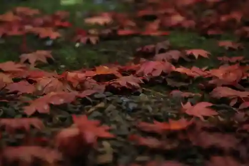 北広島市総鎮守　廣島神社(北海道)