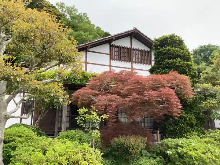 宝金剛寺(寶金剛寺)(神奈川県)