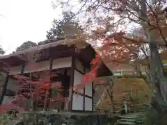 常寂光寺の山門