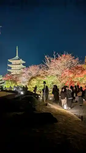 東寺（教王護国寺）(京都府)
