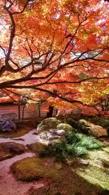 禅林寺(永観堂)(京都府)