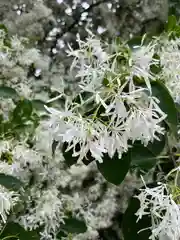 沙沙貴神社(滋賀県)