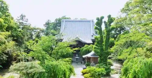 観音院の本殿