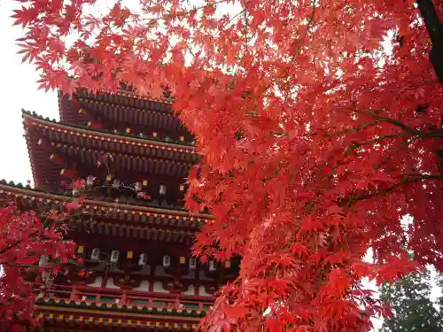 高幡不動尊　金剛寺の塔
