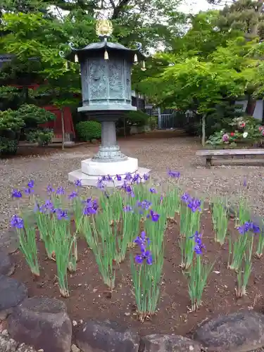 豪徳寺の庭園