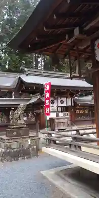 新宮神社の本殿・本堂