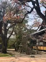 道明寺の建物その他