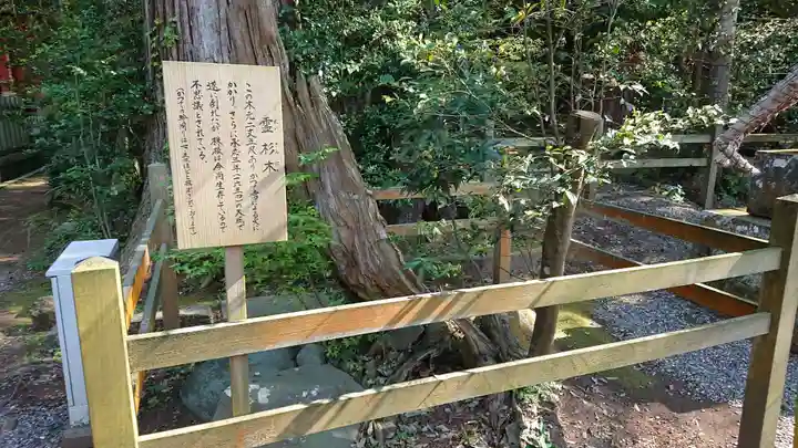 鹿島神宮の自然