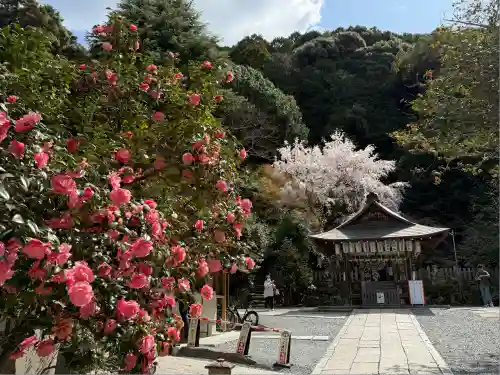 大豊神社(京都府)